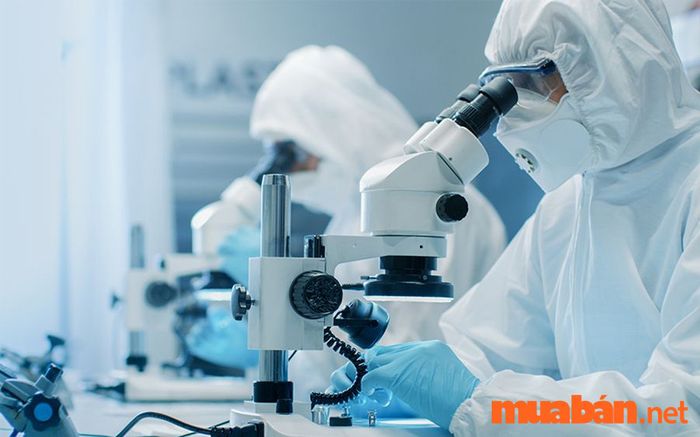 Cơ hội nghề nghiệp trong ngành hóa dược
