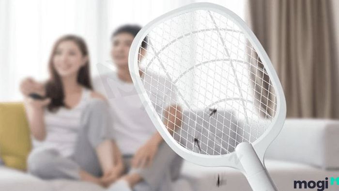 Phương pháp diệt muỗi