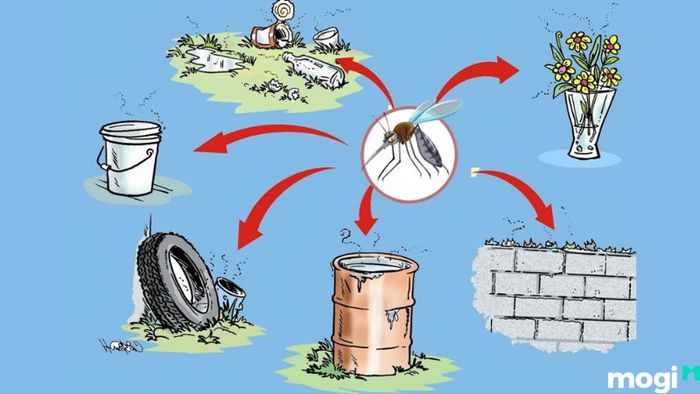Cách diệt muỗi