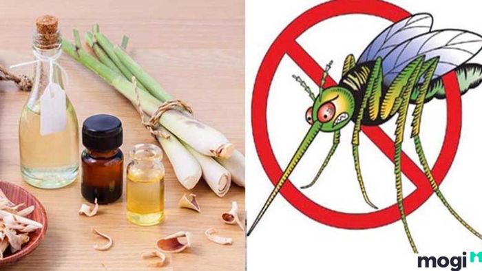 Phương pháp diệt muỗi