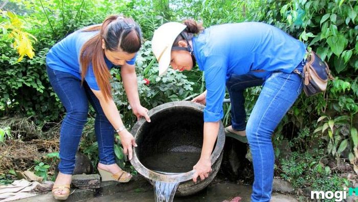 Phương pháp tiêu diệt muỗi