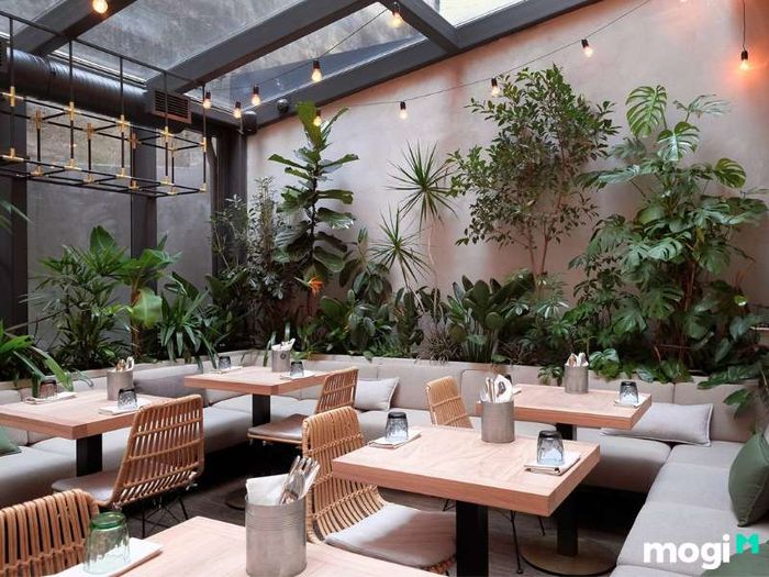 Mở quán cafe
