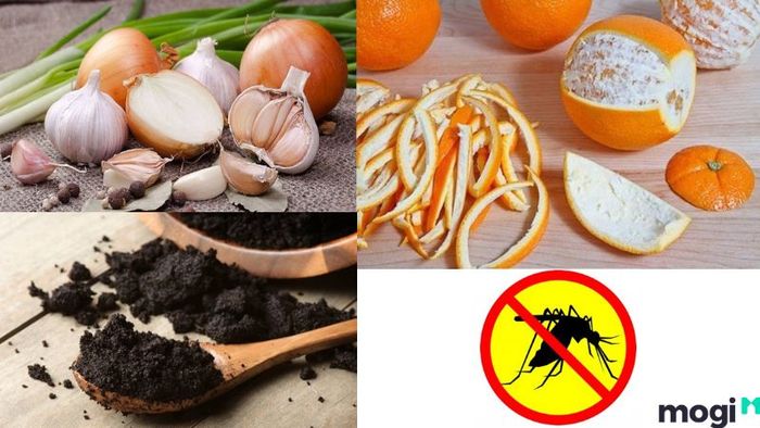 Phương pháp diệt muỗi