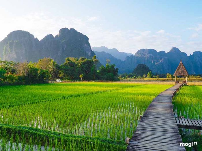 Định nghĩa về đất trồng cây hàng năm