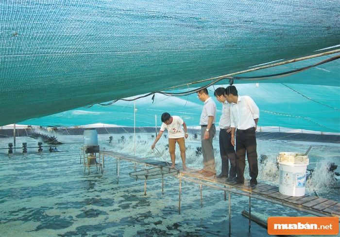 Công việc trong ngành thủy sản