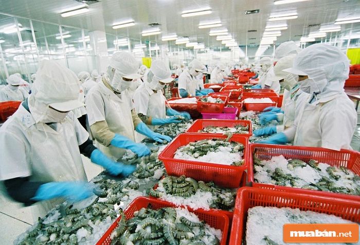 Cơ hội việc làm trong ngành thủy sản