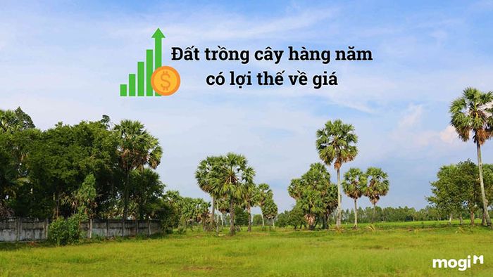 Ưu thế về giá cả