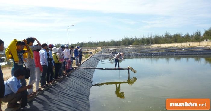 Cơ hội việc làm trong ngành thủy sản