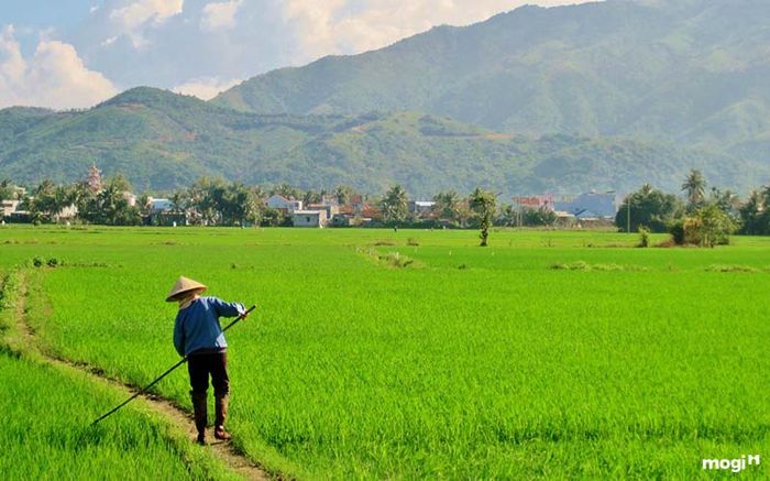 ưu thế về kích thước