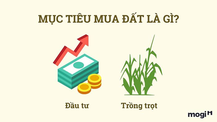 Xác định rõ mục tiêu đầu tư