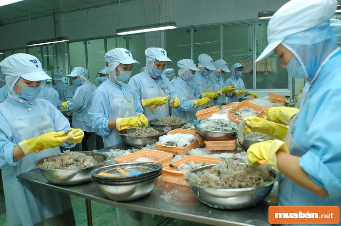 Công việc trong ngành thủy sản
