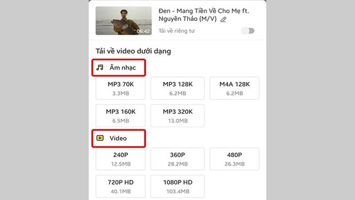 Chọn nội dung và định dạng chất lượng để tải về