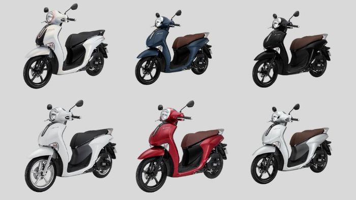 Janus 2023 với nhiều lựa chọn màu sắc đa dạng