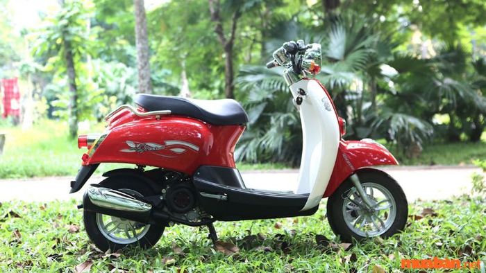 Honda Scoopy 50cc