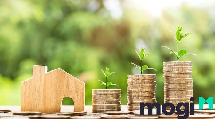 Nhà đất thanh lý đồng nghĩa với việc sản phẩm đó chắc chắn sẽ được bán với giá thấp hơn so với thị trường.