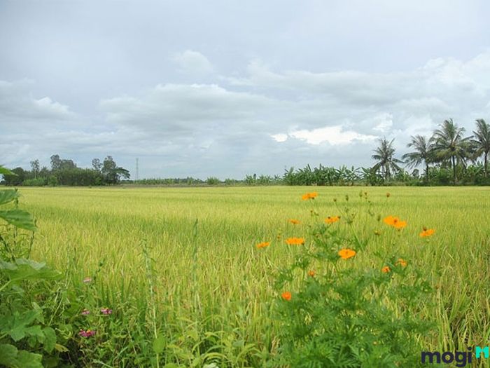 Bảng giá đất nông nghiệp số 03