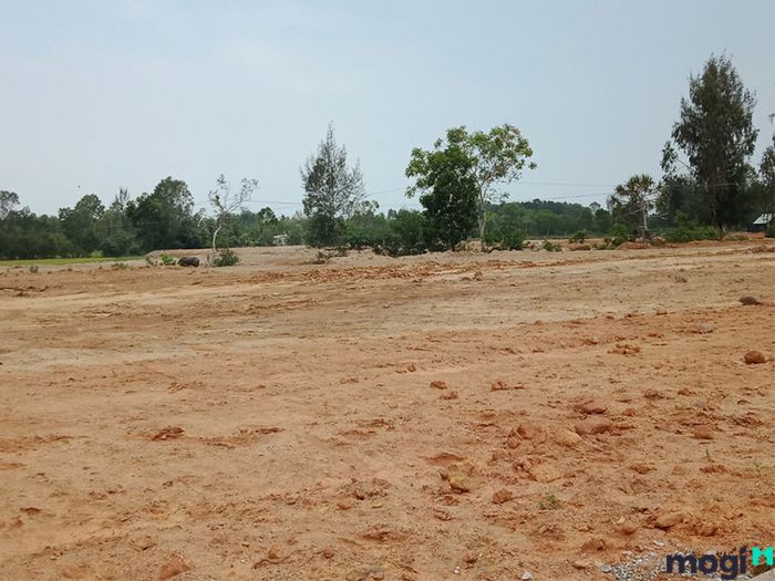 Bảng giá đất nông nghiệp số 06