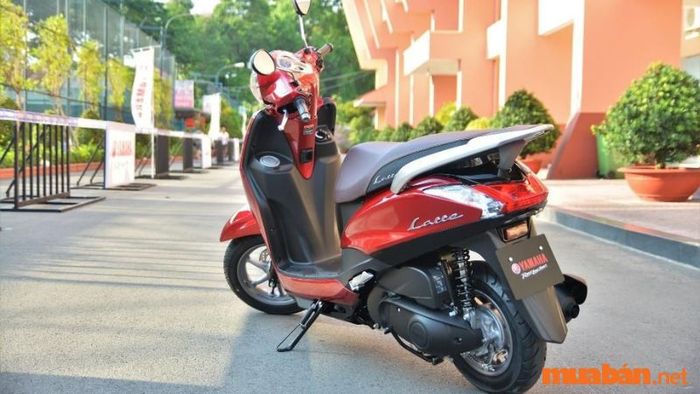Phần đuôi xe Yamaha Latte 2023