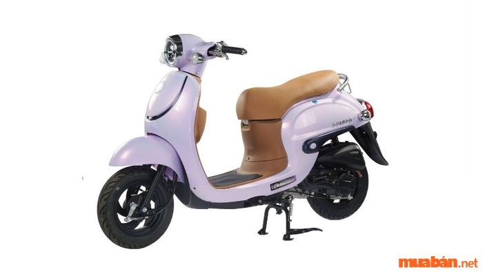 Xe ga 50cc Giorno với tem chìm