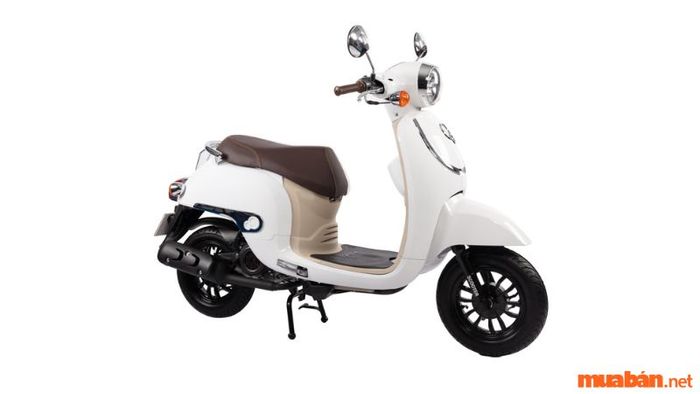 Xe ga 50cc Giorno với tem nổi
