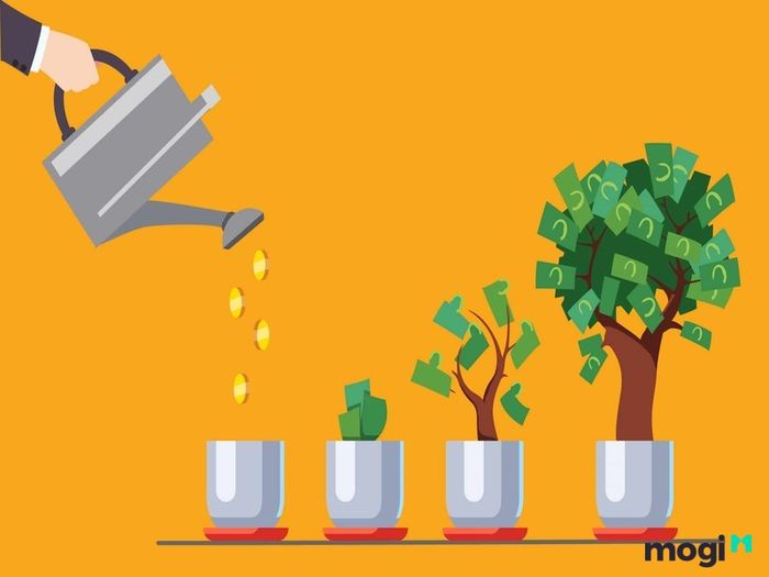 Đầu tư vào dự án này là một quyết định thông minh