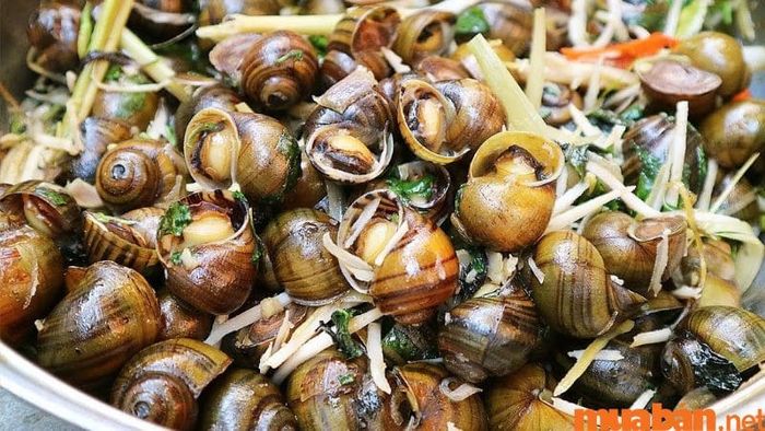 Ốc gạo chợ Tân Phong là lựa chọn lý tưởng cho những ai yêu thích món ốc.