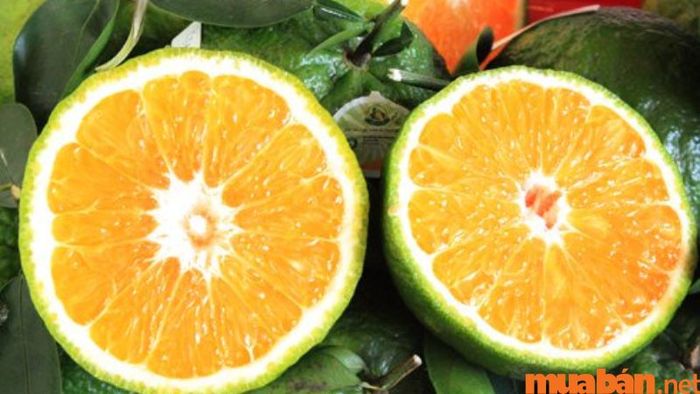 Các loại trái cây đặc sắc này rất thích hợp làm quà tặng cho người thân.