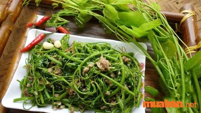 Rau bò khai được coi là một trong những đặc sản Thái Nguyên đắt giá.