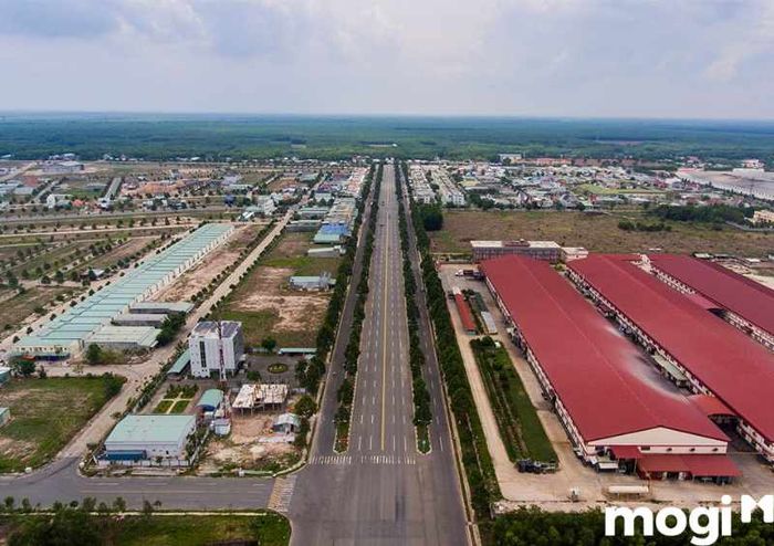 Giáo dục và y tế tại huyện Bàu Bàng, Bình Dương