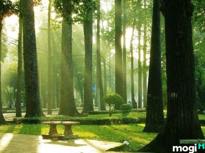 Quận 1 cũng tập trung nhiều công viên cây xanh nổi tiếng.