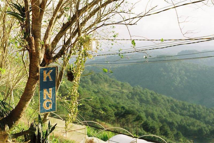 Kong Cà Phê – nơi lý tưởng cho những tín đồ cà phê và âm nhạc (Ảnh: Sưu tầm)