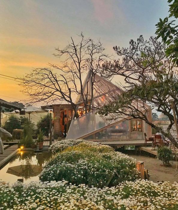 Quán cà phê Túi Mơ To – không gian vintage dễ chịu (Ảnh: Sưu tầm)