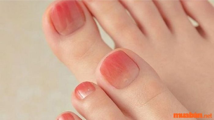 Mẫu nail chân đẹp nhất 2024
