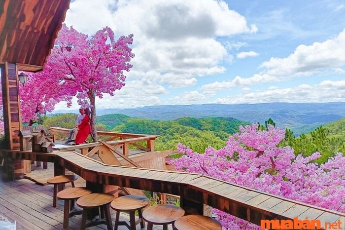 Cổng Trời Bali Đà Lạt – Điểm đến không thể bỏ qua tại Đà Lạt