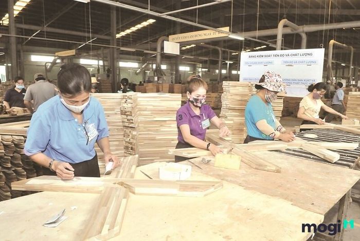 KCN Sóng Thần 3 nổi bật với ngành công nghiệp chế biến gỗ.