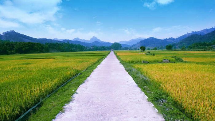 Tải ảnh phong cảnh làng quê đẹp cho máy tính