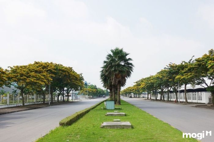 Khu công nghiệp Đại An Hải Dương được thiết kế với hệ thống giao thông hợp lý và hiệu quả.