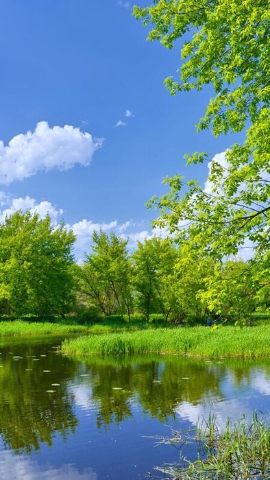 Ảnh sông suối phù hợp với kích thước màn hình điện thoại 5