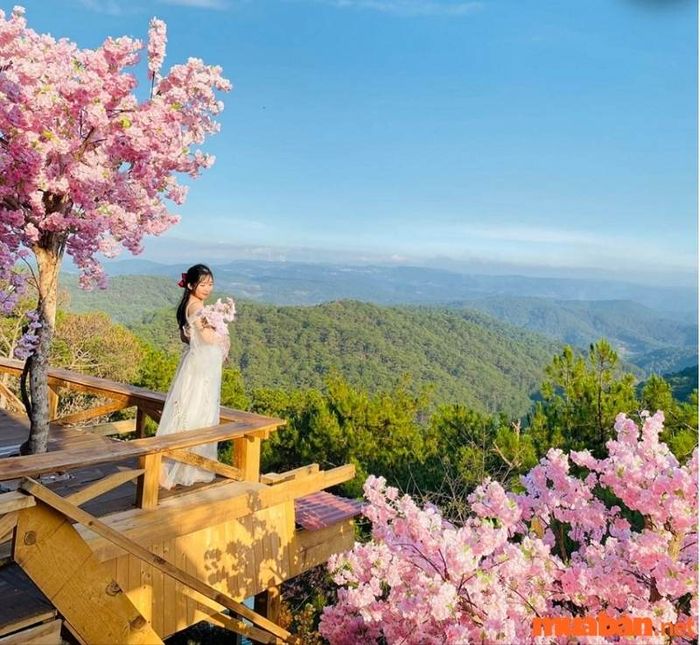 Cổng Trời Bali Đà Lạt – Một điểm đến không thể bỏ qua khi du lịch Đà Lạt