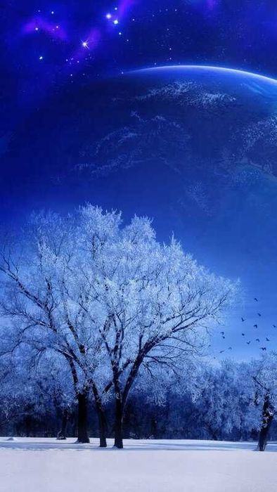 Tải ảnh tuyết rơi lung linh cho điện thoại
