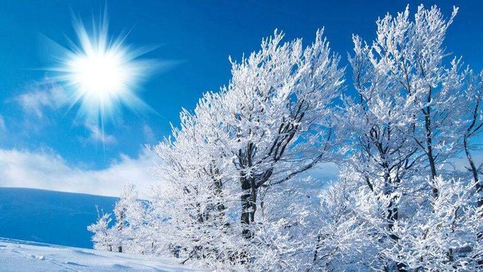Tải ảnh phong cảnh tuyết rơi tuyệt đẹp cho máy tính