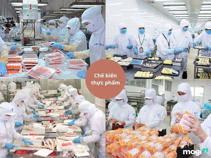 Chế biến thực phẩm