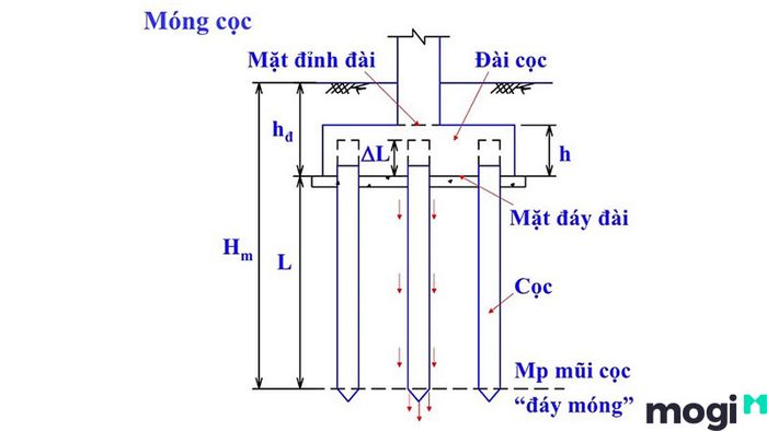 Móng cọc có cấu trúc như thế nào?