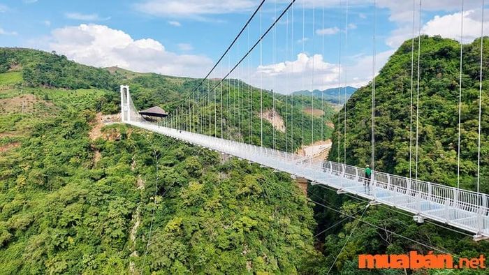 Kinh nghiệm du lịch Mộc Châu 2 ngày 1 đêm - trải nghiệm tại cầu kính Bạch Long