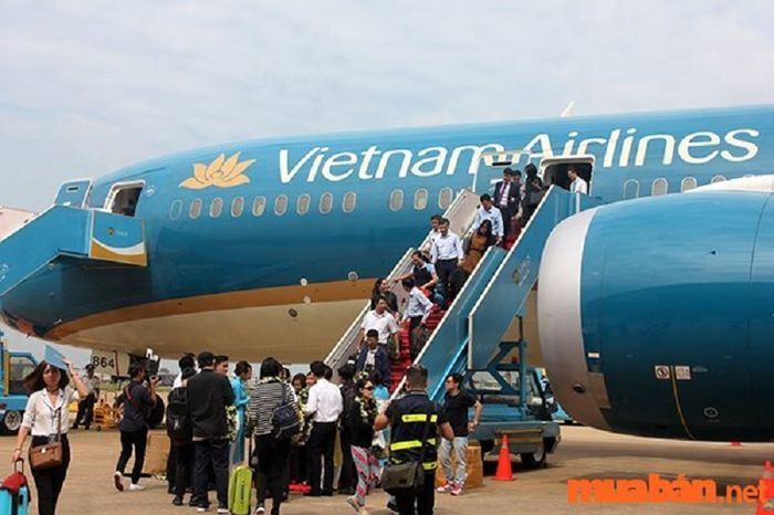 Kinh nghiệm du lịch Mộc Châu 2 ngày 1 đêm - cách đặt vé máy bay ra Hà Nội