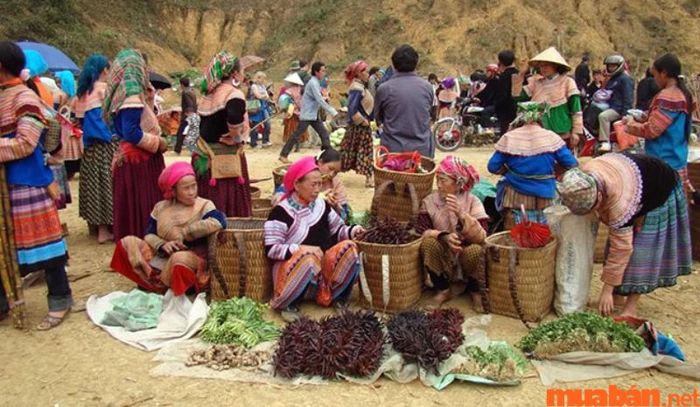 Chợ phiên Phố Đoàn là nơi bạn có thể tìm thấy rất nhiều sản phẩm đặc trưng, từ nhu yếu phẩm đến các món quà lưu niệm độc đáo.