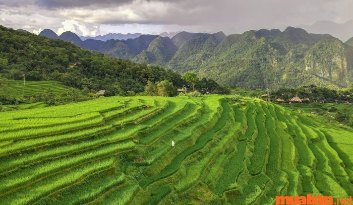 Việc đặt trước chỗ ở trước chuyến đi là rất cần thiết để đảm bảo sự thuận tiện và không bị động khi đến nơi.