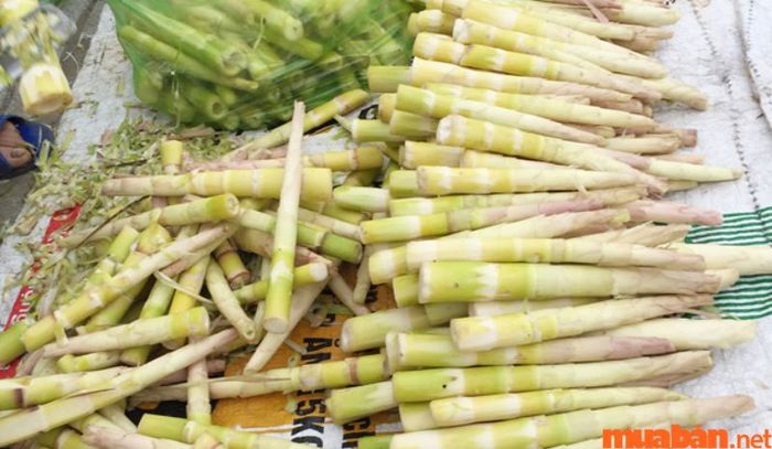 Măng đắng là món ăn tuyệt vời có thể kết hợp với nhiều món đặc sản khác của Pù Luông.