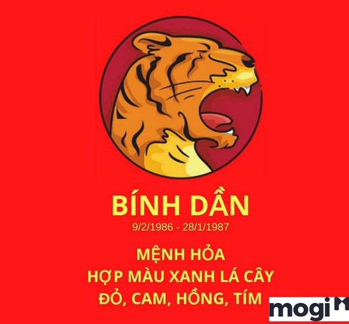 Tuổi Bính Dần hợp với màu gì?
