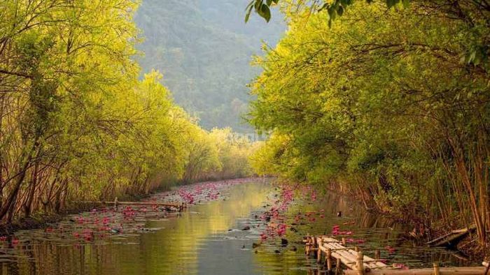 Khung cảnh thơ mộng của suối Yến – Nguồn: Internet